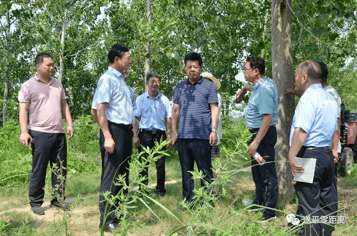 遂平县长侯蕴检查防汛备汛工作