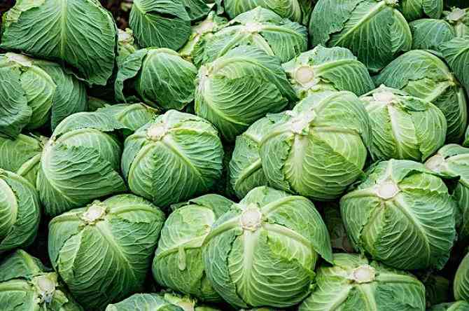平包菜种植出现开裂?资产监测设备可避免该问题