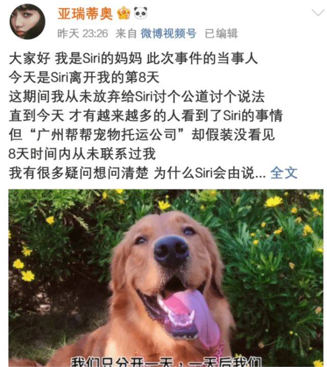 陈乔恩为金毛siri发声高圆圆张纪中抵制宠物盲盒它们也是生命