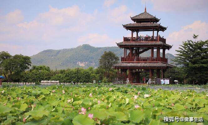 湖美四季,工业新区 产业新城"为主题的荷美覃塘湖美四季广西贵港(覃塘