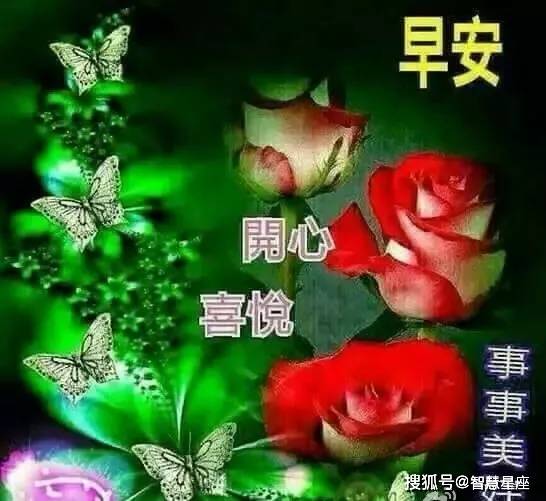 朋友圈清早早上好问候图片鲜花带字,早晨美好祝福送给