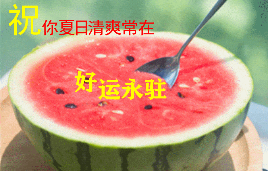 原创2021年最全夏日早上好动画表情包特别漂亮的夏日
