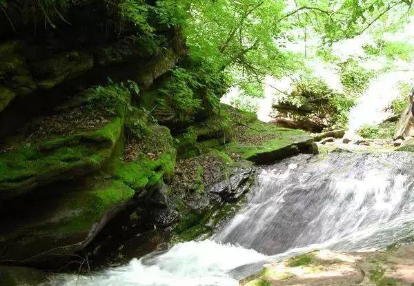 宁夏纳凉避暑旅游胜地,你去过几个?_泾源县