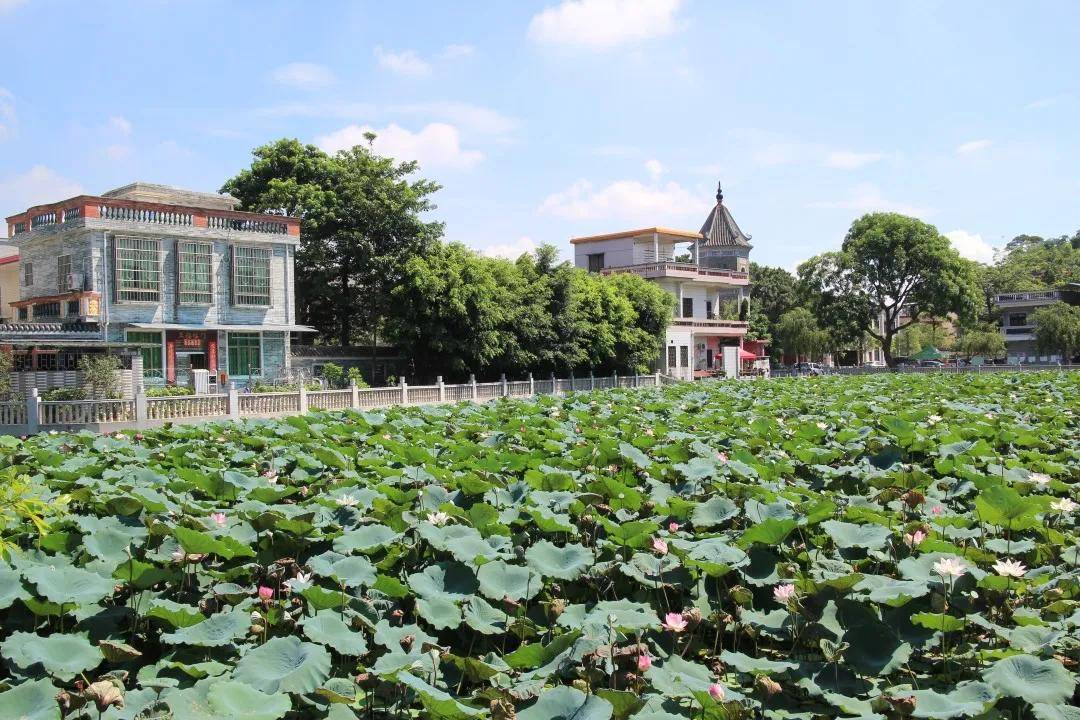 取名为莲溪村内麦氏大宗祠始建于宋代是南沙现存规模最大的古代宗祠