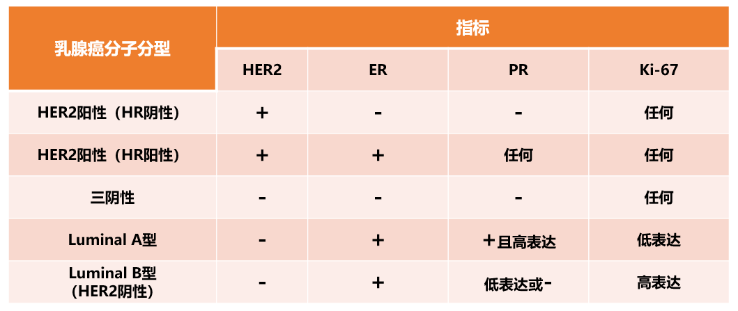 针对乳腺癌的分子分型,中国临床肿瘤学会(cs