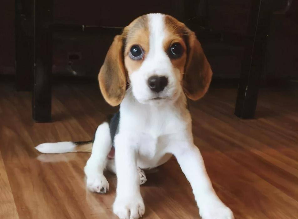 原创就算再喜欢