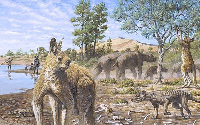科学家找到澳洲巨型动物灭绝的真正原因