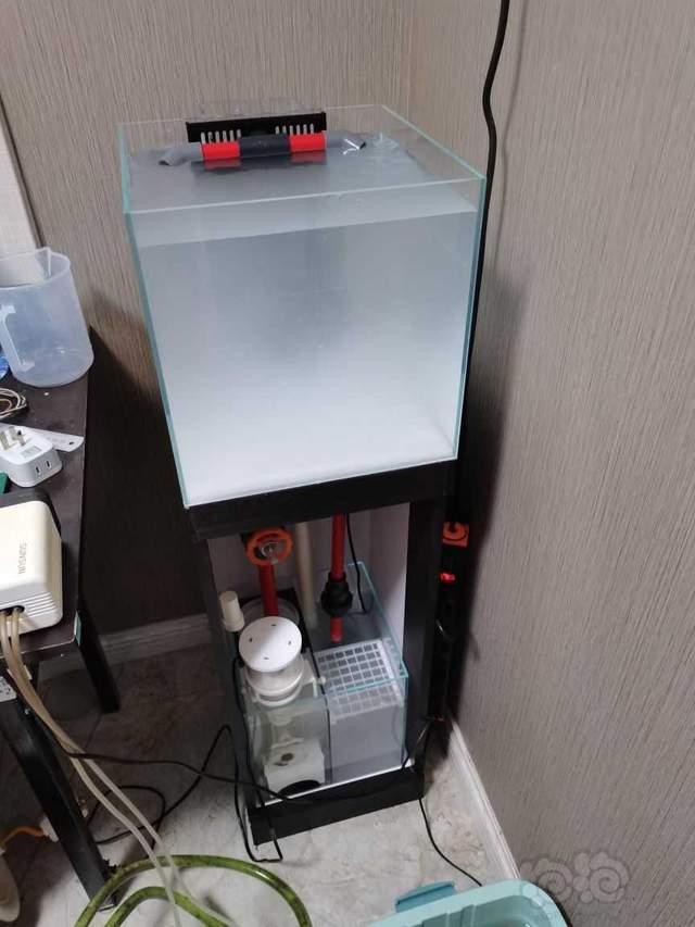 30方淡水缸改造底滤小海缸