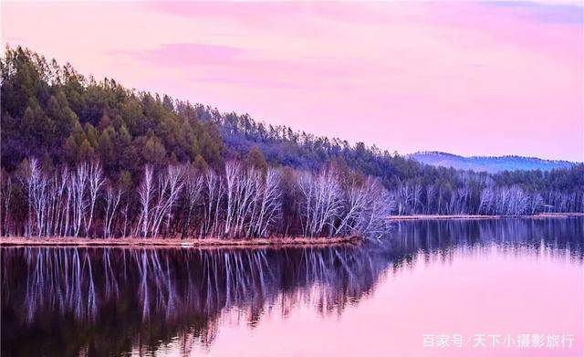 达尔滨湖,杜鹃花开成海