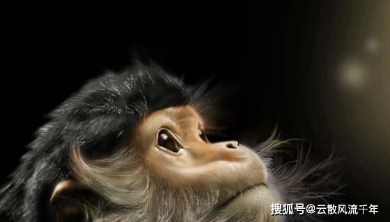神话传说中最为知名的妖猴,大家最熟悉的,一定是