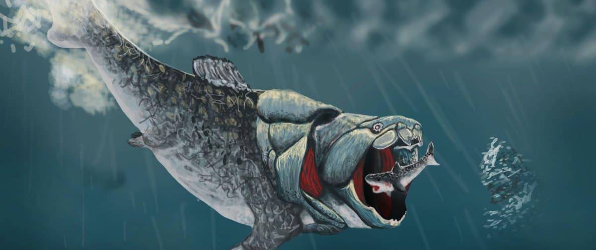 原创没牙齿就用骨头咬!恐怖的地球第一代霸主,连鲨鱼和自己族类都吃