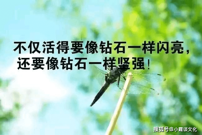让自己心态平和的句子,句句深入人心,适合放到朋友圈