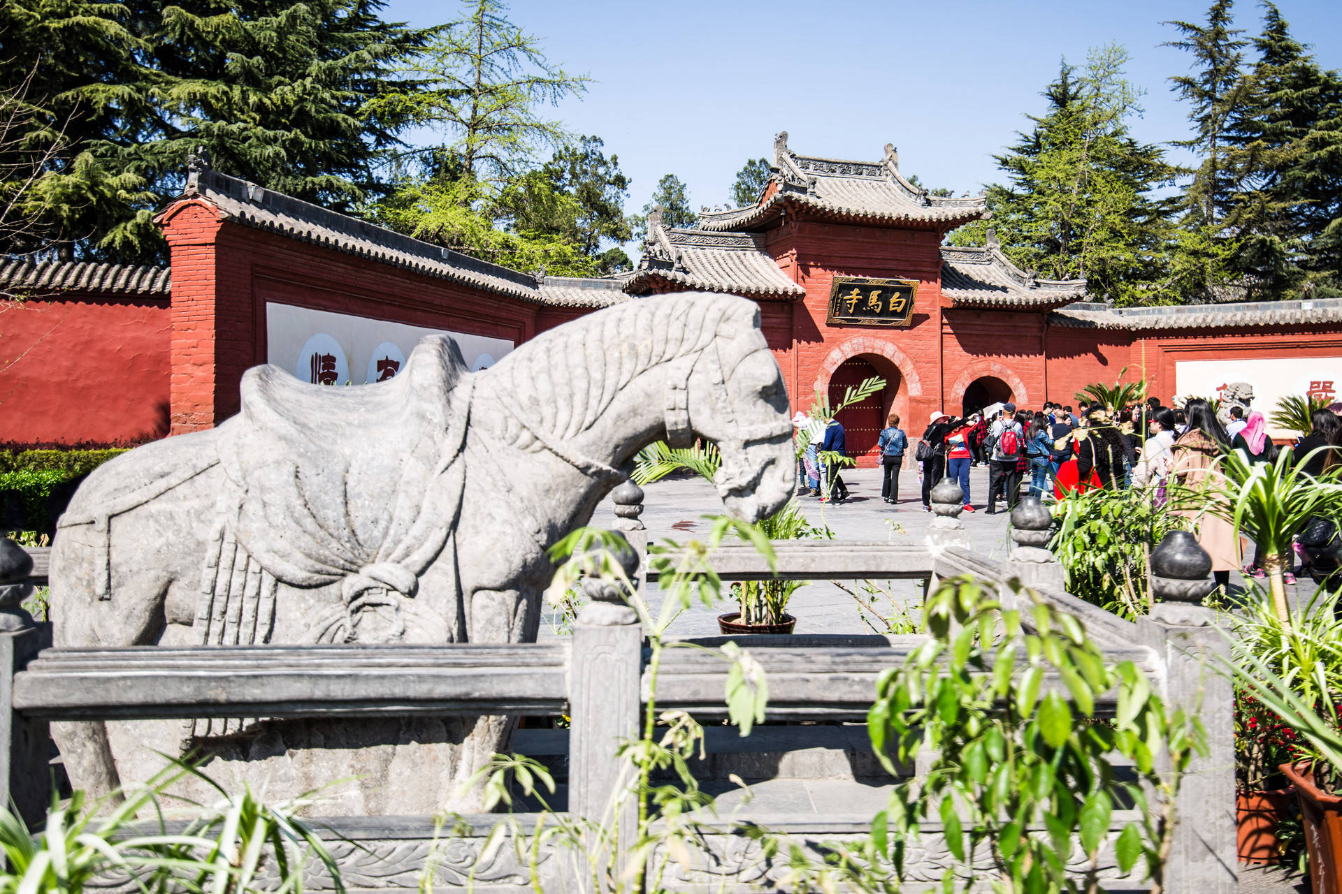 洛阳旅游景点——游遍中国_白马寺