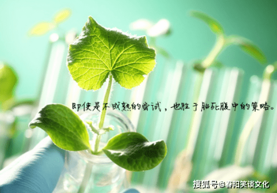加油打气的励志文案,百看不厌,句句正能量