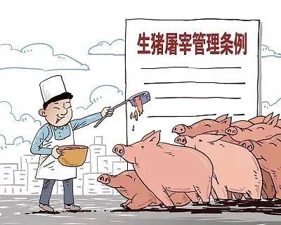生猪屠宰厂严格遵守国家规定的屠宰操作