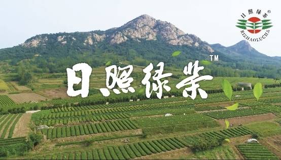 "日照绿茶"登陆央视黄金时间段打造乡村振兴产业龙头品牌