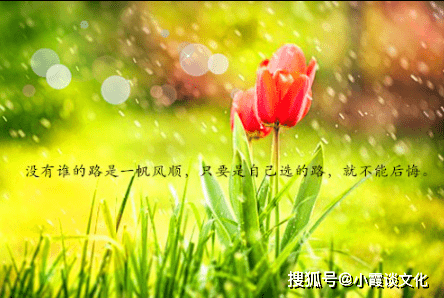秒赞朋友圈语录,唯美舒心,你肯定喜欢