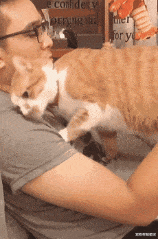 猫猫霸占老公许久!这位女生终于做了件出气的事儿!