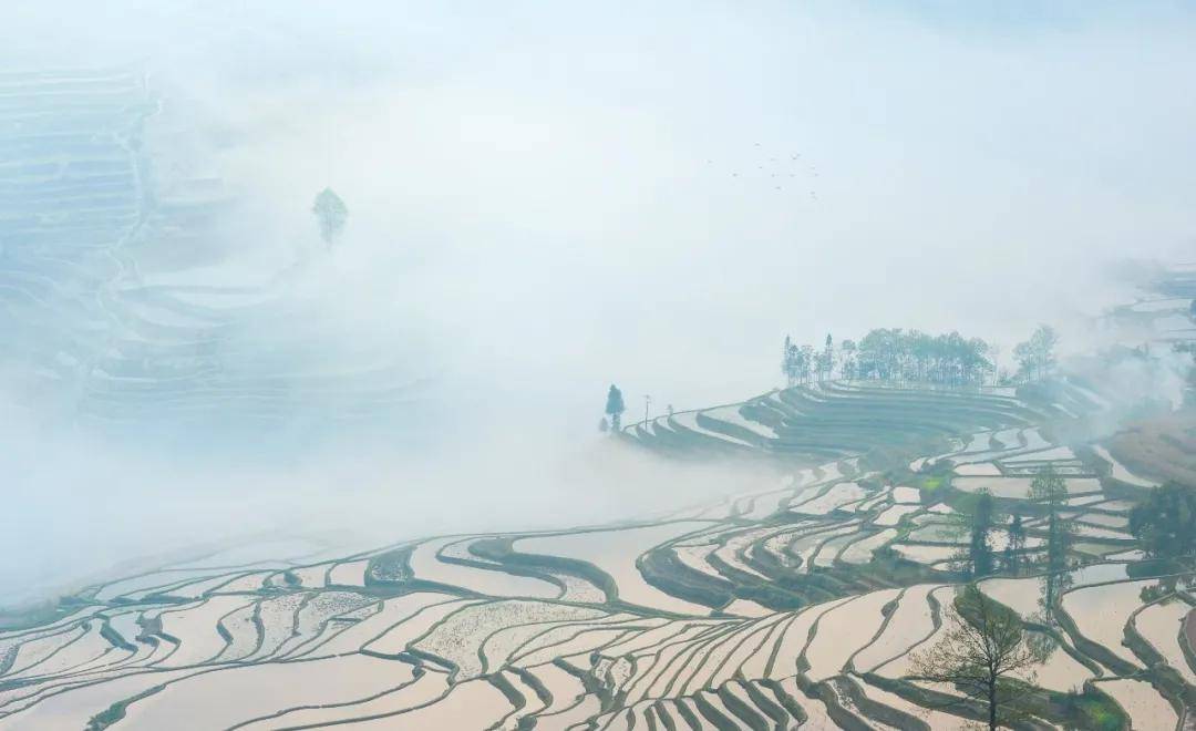 世界遗产在中国最美的山岭雕刻红河哈尼梯田文化景观