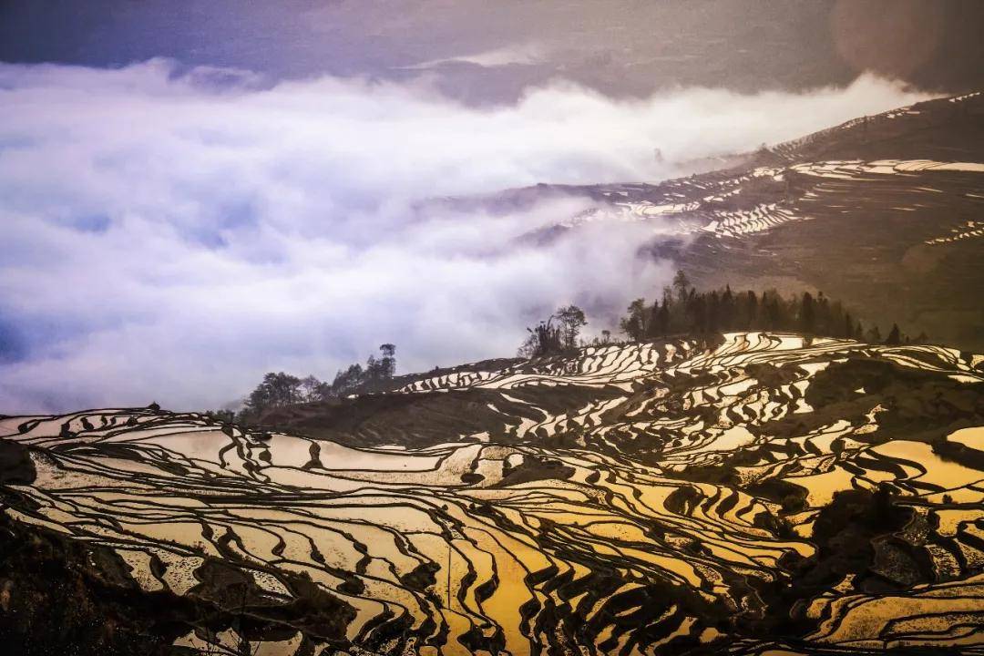 世界遗产在中国 | "最美的山岭雕刻"红河哈尼梯田文化景观_景区