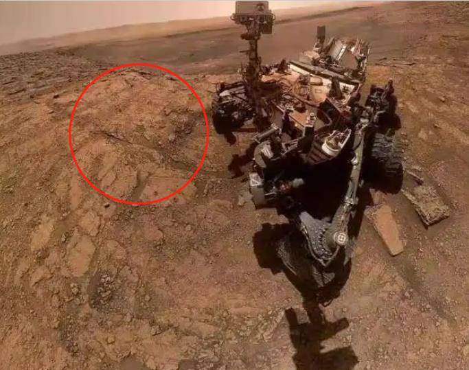 如果火星上发现灭绝的生物会怎样?nasa称:将是一个绝望的开始