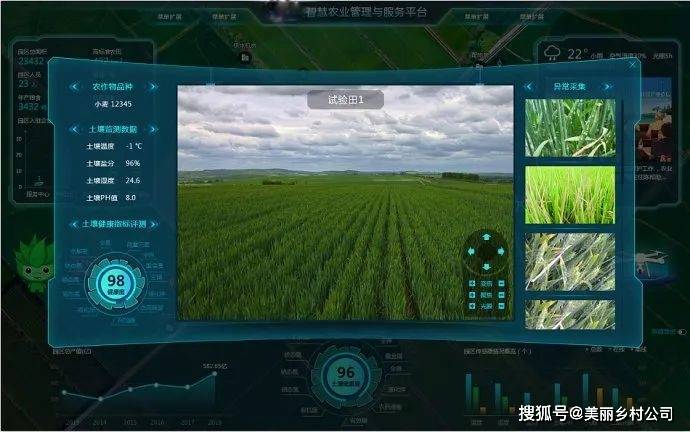 农业大数据服务平台,驱动数字农业发展