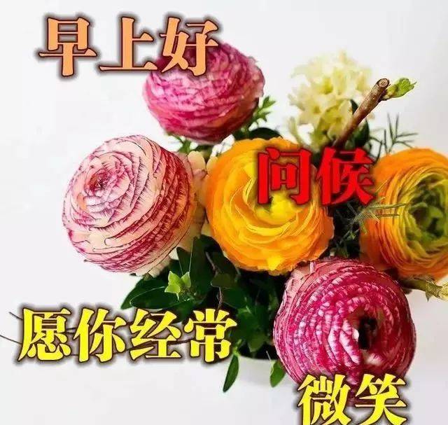 祝福图片新版2021,今天最新祝福语图片 早上好图片 新版2021唯美图片_祝福