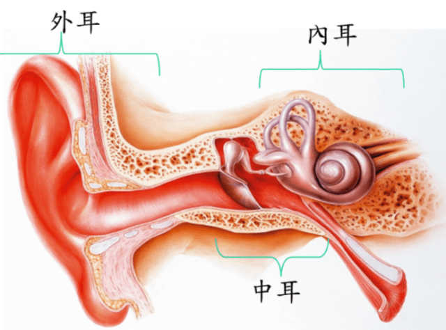 什么是"游泳耳"?