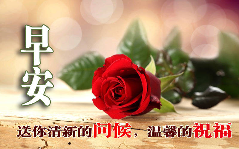 2021年8月11日星期三清晨早上好问候祝福图片 周三最新早安问候祝福
