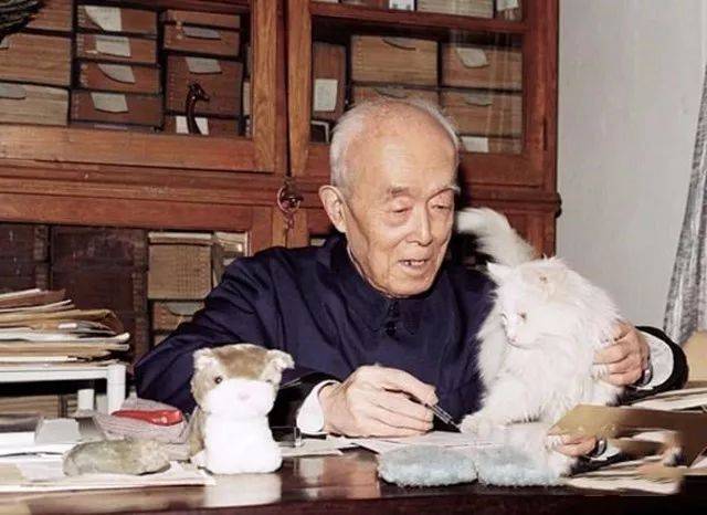 季羡林和爱猫