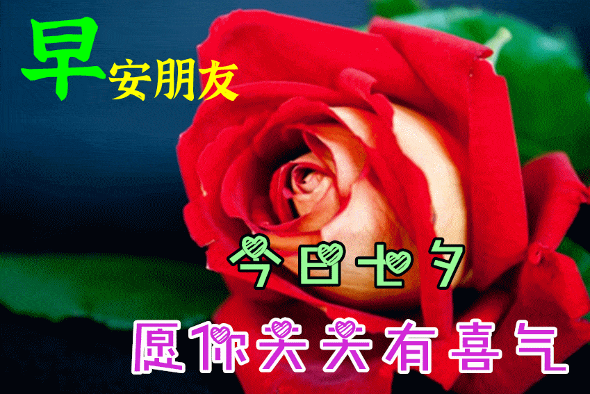 七夕情人节特别漂亮的图片鲜花带字 七夕情人节祝福语图片动态表情
