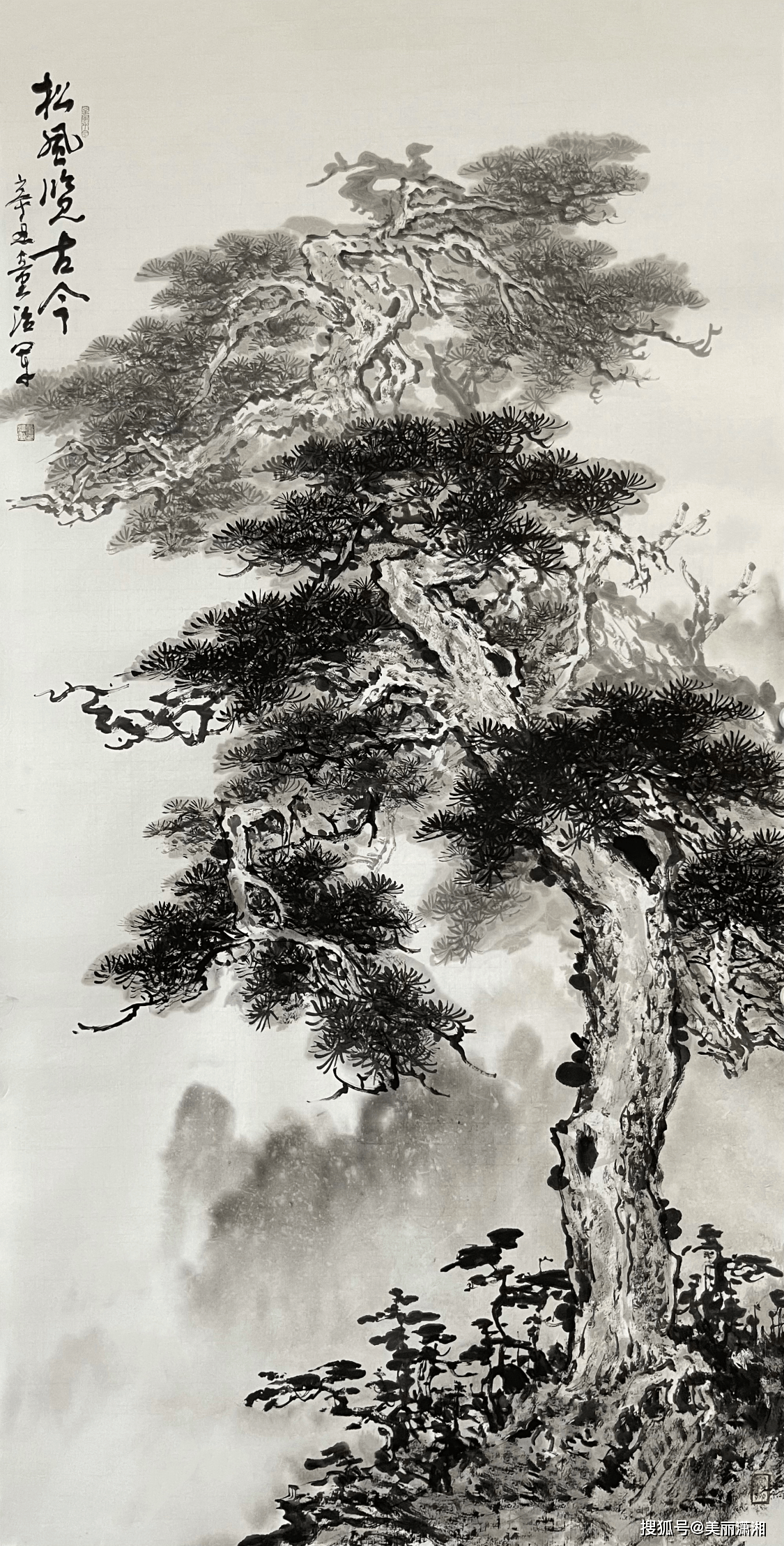 赏童治军画松:苍松有傲骨 松风览古今