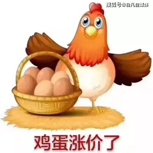 原创最近鸡蛋为何涨价这么厉害