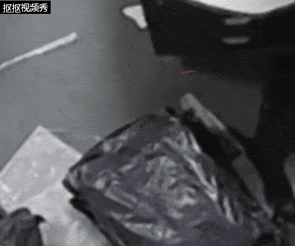 小伙拆快递惊现黑色大蛇,快递点:包裹已经放了一个多星期了