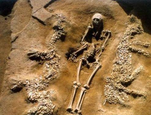 原创河南挖出一史前古墓出土文物颠覆历史难道龙真实存在过