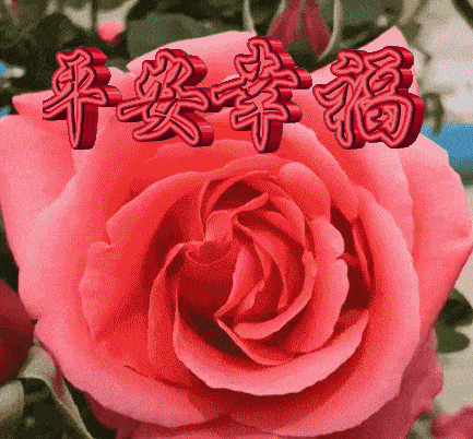 原创早安精选祝福词句大全,早上好温馨祝福图片