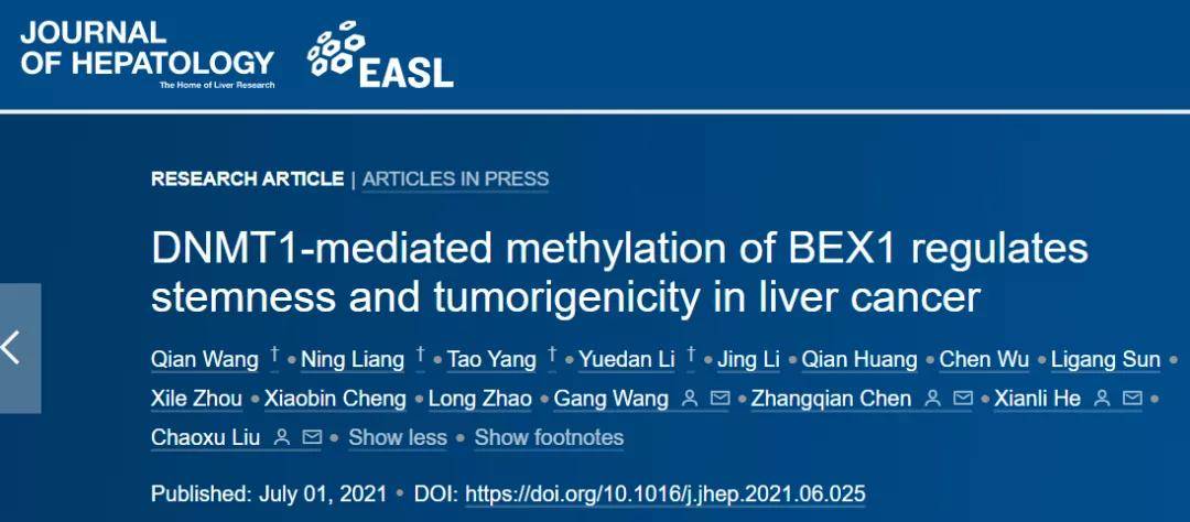 空军军医大学等多单位合作何显力等发现肝细胞癌潜在的治疗靶点