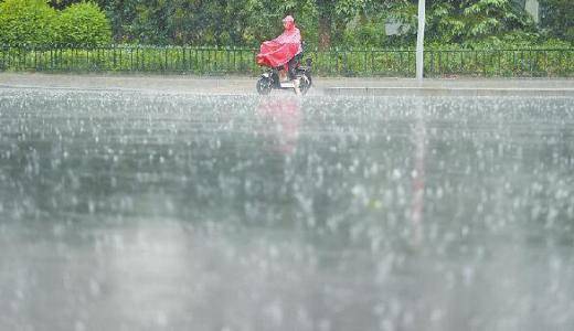 千阳,陈仓区,渭滨区,金台区,岐山县,扶风,眉县有阵雨或雷阵雨天气,并
