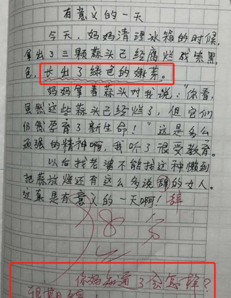 作文的时候,有没有注意过下面老师的评语,以及老师在文章上做的记号