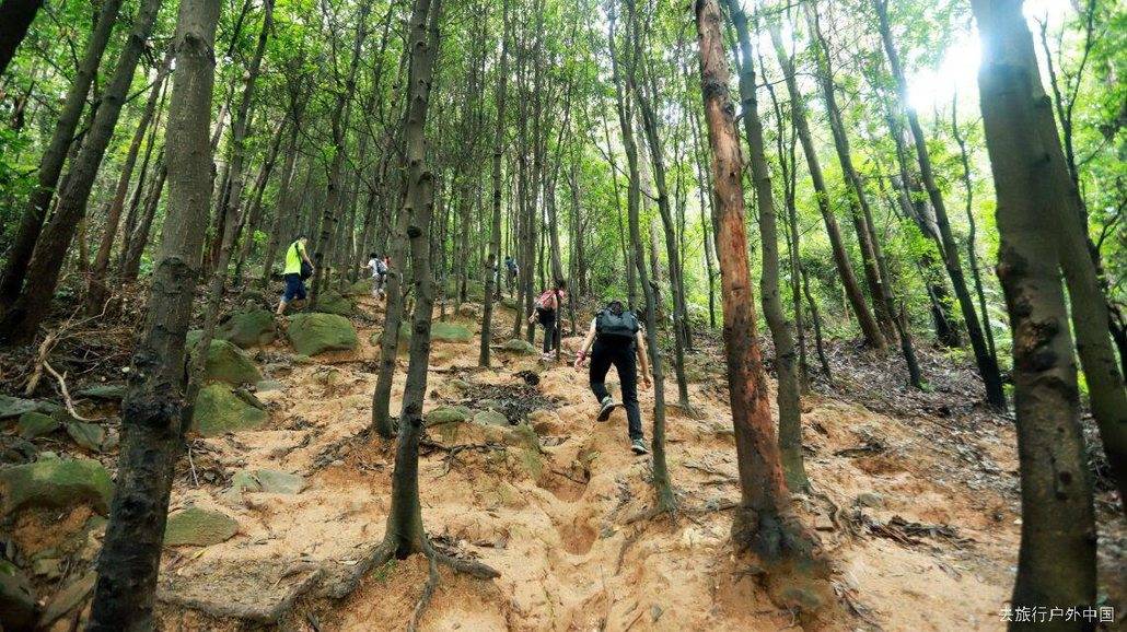 【广州市内户外晋级徒步路线】挑战广州火帽线30km徒步