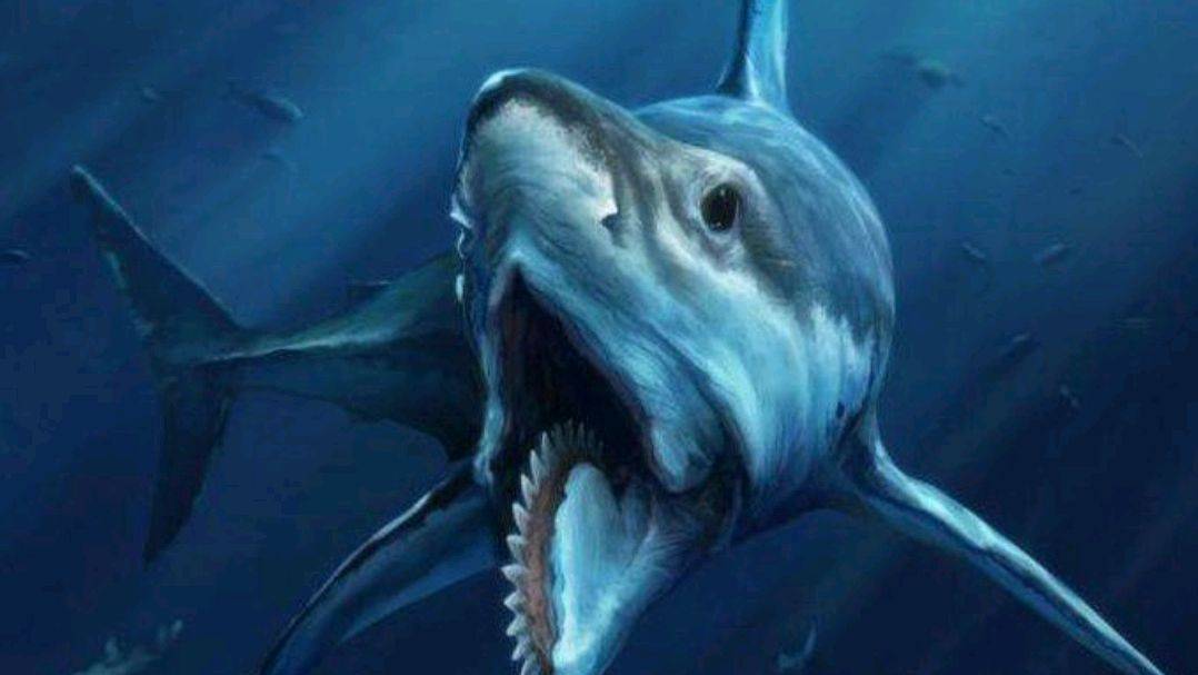原创从混混到霸主,再到丢掉传承,鲨鱼这4亿年如此悲催能怪谁?