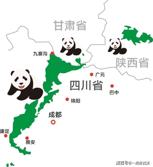 不过由于生理上仍然保持了很多肉食性动物的特征,大熊猫的肠道相对较