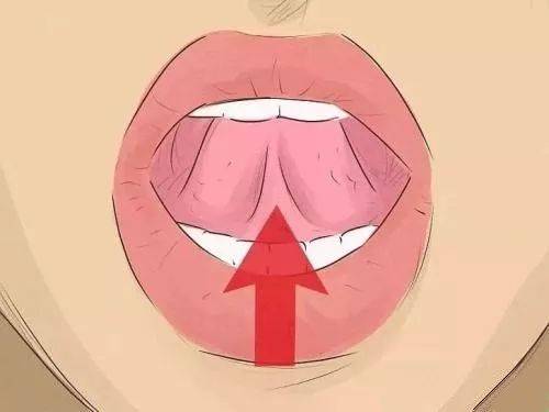 嘴巴是闭上的 此时舌头会顶在上颚这个位置 而舌头顶上颚的动作 是