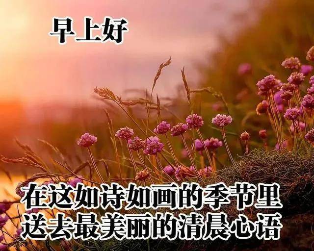 8张漂亮秋日早安图片带字带祝福语 免打字聊天的早上好问候祝福风景