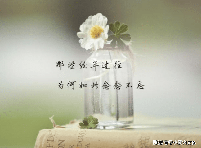 一个人心情低落无奈的句子,伤感落寞,有没有一句说中你的心事