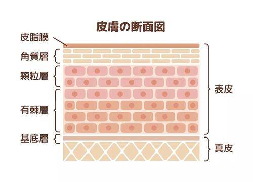 皮肤易敏感?新依美教你解决面部干燥,泛红等问题