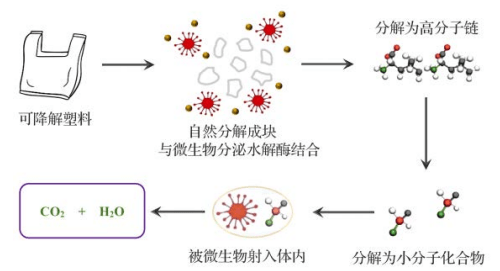 可降解塑料的降解机理:生物降解与光降解篇