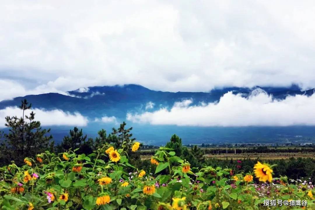 教师节还能这样玩?丽江猎鹰谷景区给你不一样的假日体验