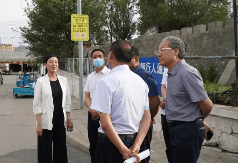 原创清华女博士当选河北县长年纪轻轻却履历丰富是年轻人该追的星