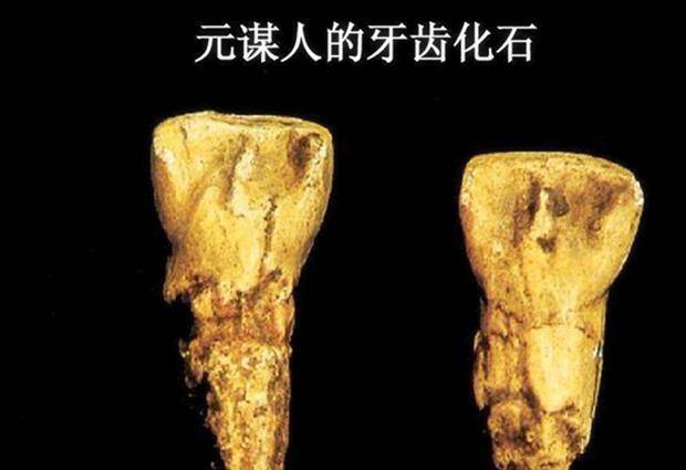 原创中国最早的直立人,有说生活在170万年前,有说生活在60万年前?